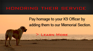 Honoring Their Service Honoring Their Service