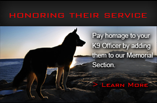 Honoring Their Service Honoring Their Service
